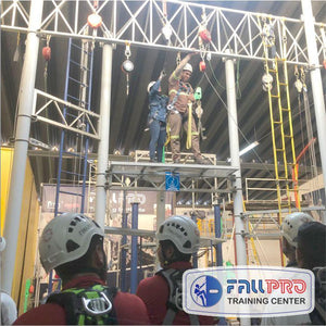 Curso Persona Competente en Alturas - Fall-Pro de México S.A. DE C.V.
